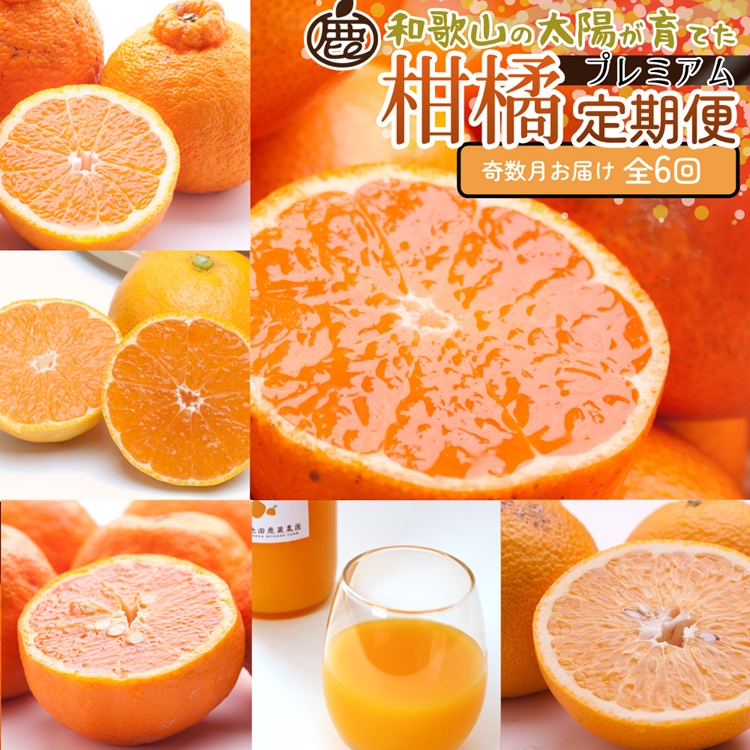 【和歌山県美浜町】【定期便】厳選 柑橘定期便 M 6回(奇数月)※北海道・沖縄・離島への配送不可※奇数月に発送