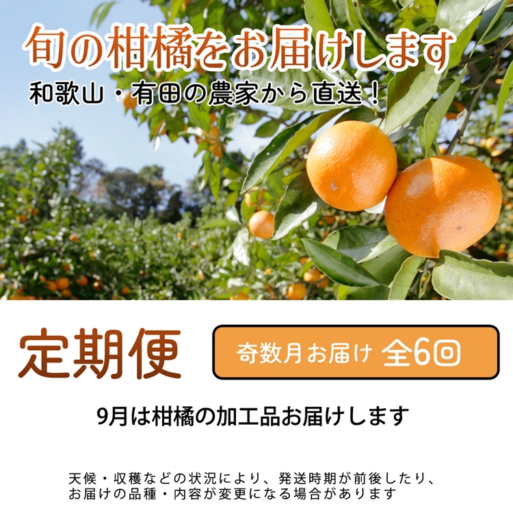 【定期便】厳選 柑橘定期便 M 6回（奇数月）※北海道・沖縄・離島への配送不可※奇数月に発送
