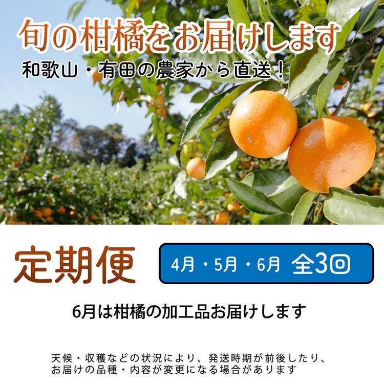 【定期便】厳選 柑橘定期便 M 3回（4～6月）※北海道・沖縄・離島への配送不可※4月・5月・6月に発送