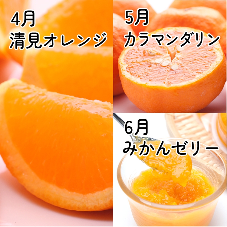 【定期便】厳選 柑橘定期便 M 3回（4～6月）※北海道・沖縄・離島への配送不可※4月・5月・6月に発送