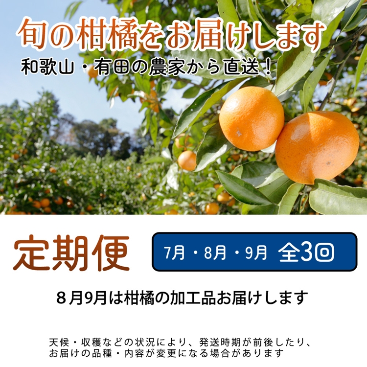 【定期便】厳選 柑橘定期便 M 3回（7～9月）※北海道・沖縄・離島への配送不可※7月・8月・9月に発送