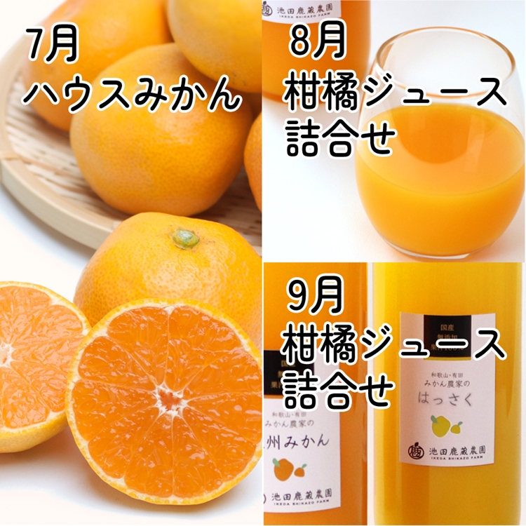 【定期便】厳選 柑橘定期便 M 3回（7～9月）※北海道・沖縄・離島への配送不可※7月・8月・9月に発送