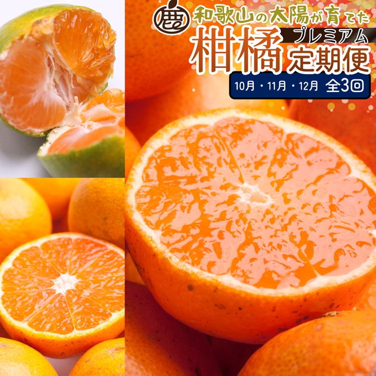 【和歌山県美浜町】【定期便】厳選 柑橘定期便 M 3回(10〜12月)※北海道・沖縄・離島への配送不可※10月・11月・12月に発送