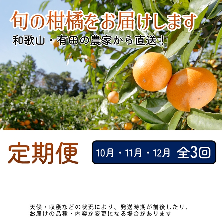 【定期便】厳選 柑橘定期便 M 3回（10～12月）※北海道・沖縄・離島への配送不可※10月・11月・12月に発送