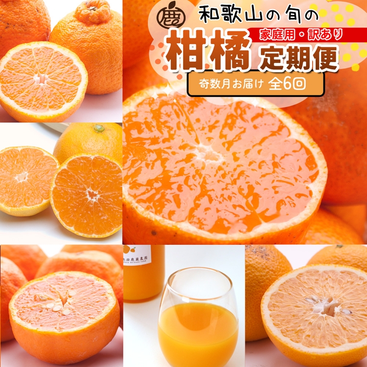 【和歌山県美浜町】【定期便】家庭用 柑橘定期便 M 6回(奇数月)※北海道・沖縄・離島への配送不可※奇数月に発送