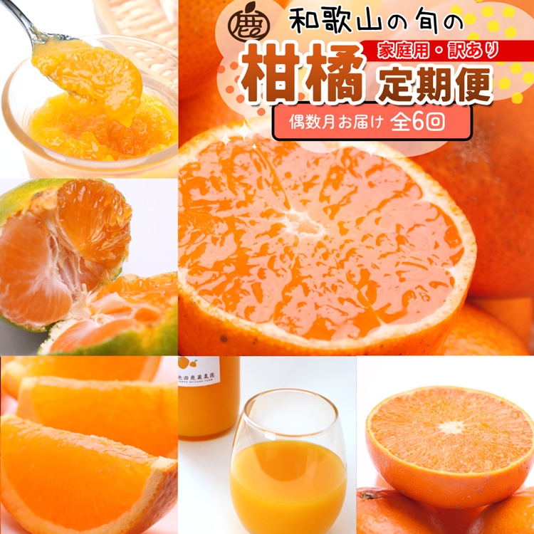 【和歌山県美浜町】【定期便】家庭用 柑橘定期便 M 6回(偶数月)※北海道・沖縄・離島への配送不可※偶数月に発送