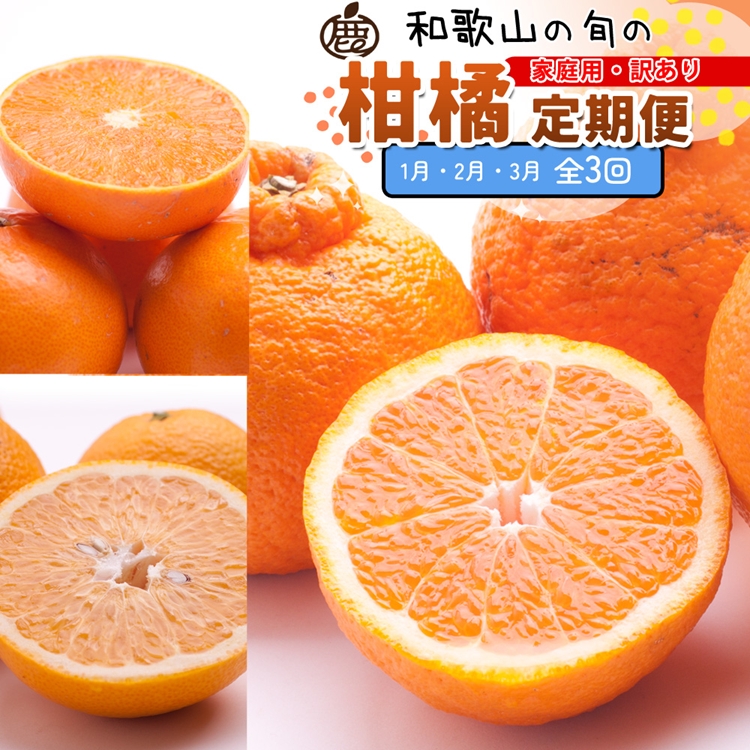 【和歌山県美浜町】【定期便】家庭用 柑橘定期便 M 3回(1〜3月)※北海道・沖縄・離島への配送不可※1月・2月・3月に発送