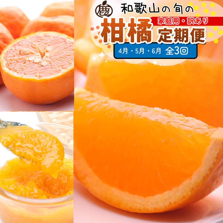 【和歌山県美浜町】【定期便】家庭用 柑橘定期便 M 3回(4〜6月)※北海道・沖縄・離島への配送不可※4月・5月・6月に発送