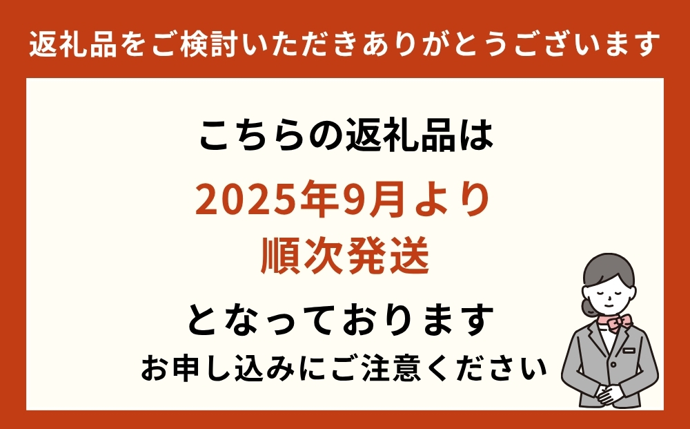 名嘉眞製菓 ちんすこう 555袋入り【箱詰め】沖縄銘菓 ちんすこう