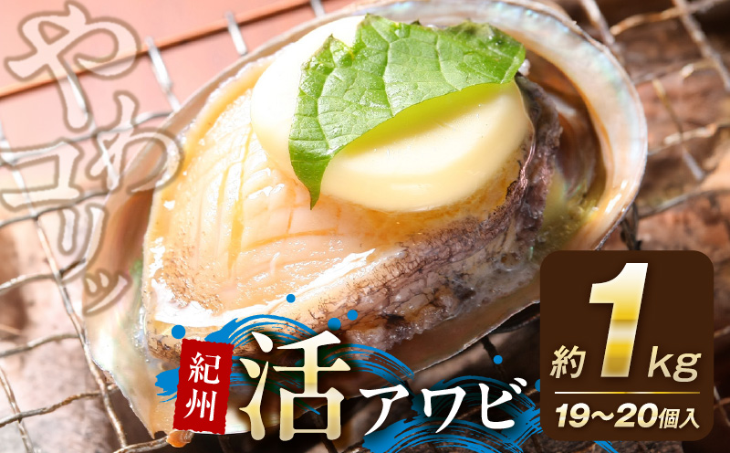 【和歌山県有田郡湯浅町】YG1005_やわコリ食感紀州活アワビ【19〜20個入】 約1000g