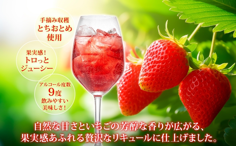 化粧箱入り 熨斗付き いちごのお酒 「太陽の物語」500ml2本セット とちおとめ リキュール 洋酒 いちご 苺 果実 果物 フルーツ アルコール ジューシー 炭酸割 ロック 宅飲み お取り寄せ ギフト こだわりお祝い  瓶 引っ越し祝い 関根国太郎商店