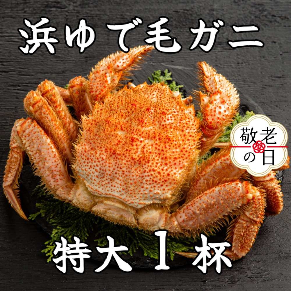 [敬老ギフト]流氷明け浜ゆで毛ガニ 特大1杯