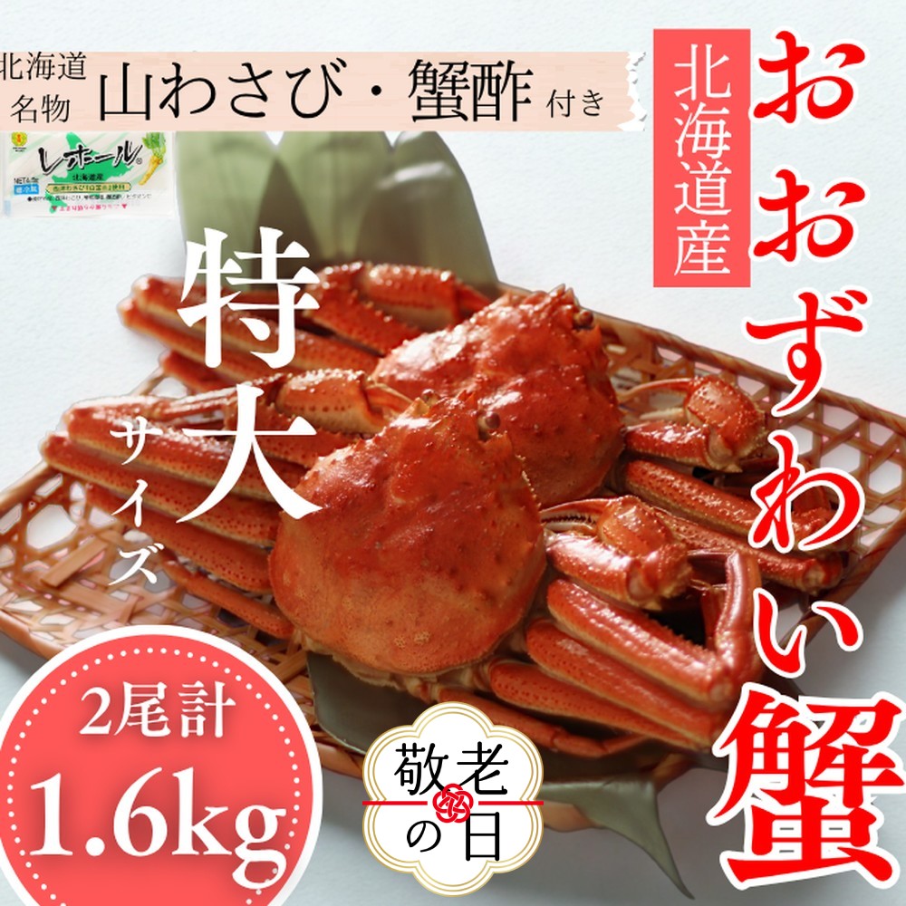 [敬老ギフト][北海道産]オオズワイガニ姿 特大サイズ2尾計1.6kg | 蟹酢・山わさび付 かに おおずわいがに