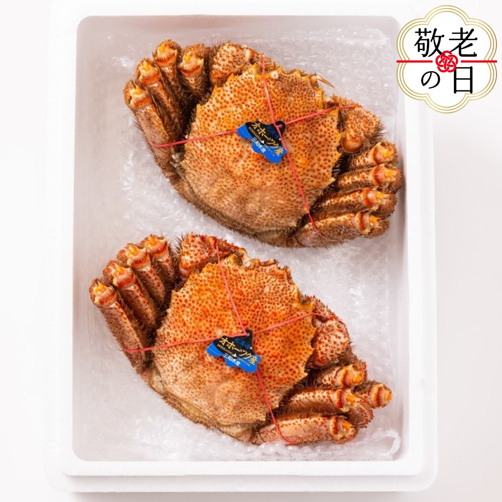 [敬老ギフト]毛ガニ約570g×2尾
