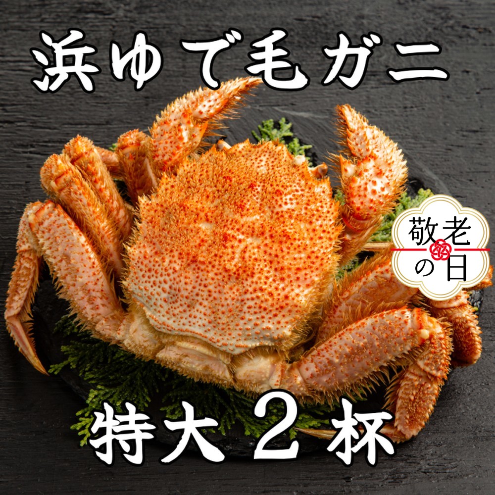 [敬老ギフト]流氷明け浜ゆで毛ガニ 特大2杯