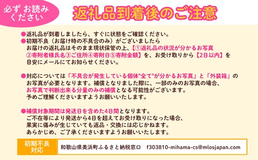 和歌山県産 川中島白桃 桃 5～8玉入り 秀品 先行予約 | 和歌山県 川中島 白桃 フルーツ 果物 くだもの 桃 もも 大玉 モモ ピーチ ギフト お取り寄せ 贈答用 秀 家庭用 自宅用 贈答品 化粧箱