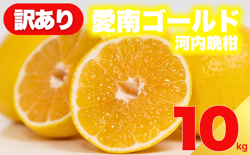 【愛媛県愛南町】【 先行予約 】 訳あり 減農薬 愛南ゴールド 河内晩柑 10kg サイズ ミックス 家庭用 産直 農家直送 和製 グレープフルーツ 家庭用 甘い 爽やか 瑞々しい ジューシー 濃厚 旨味 酸味 旬 初夏 柑橘 みかん 蜜柑 不揃い サイズ混合 ジュース ゼリー ジャム マー
