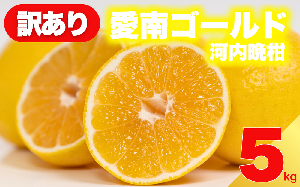 【愛媛県愛南町】【 先行予約 】 訳あり 減農薬 愛南ゴールド 河内晩柑 5kg サイズ ミックス 家庭用 産直 農家直送 和製 グレープフルーツ 家庭用 甘い 爽やか 瑞々しい ジューシー 濃厚 旨味 酸味 旬 初夏 柑橘 みかん 蜜柑 不揃い サイズ混合 フレッシュジュース ジュース