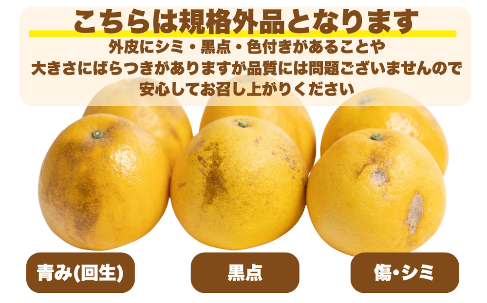 【 先行予約 】 訳あり 減農薬 愛南ゴールド 河内晩柑 5kg サイズ ミックス 家庭用 産直 農家直送 和製 グレープフルーツ 家庭用 甘い 爽やか 瑞々しい ジューシー 濃厚 旨味 酸味 旬 初夏 柑橘 みかん 蜜柑 不揃い サイズ混合 フレッシュジュース ジュース ゼリー ジャム マーマレード デザート 焼酎割り サワー 先行予約 予約受付 期間限定 数量限定 愛媛県 愛南町 愛南フルーツ