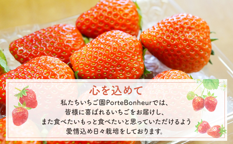 大河原町のいちご 完熟いちご 2パック 果物 フルーツ 苺 紅ほっぺ かおり みずみずしい ジューシー 期間限定 季節限定 いちご 小分け