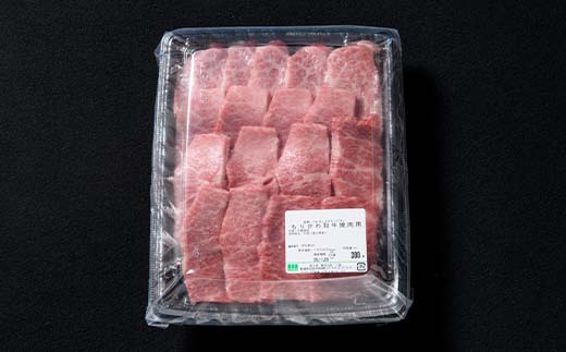 もりかわ和牛 焼き肉用300g 肉 牛肉 和牛 ビーフ 焼肉 バーベキュー F6T-838
