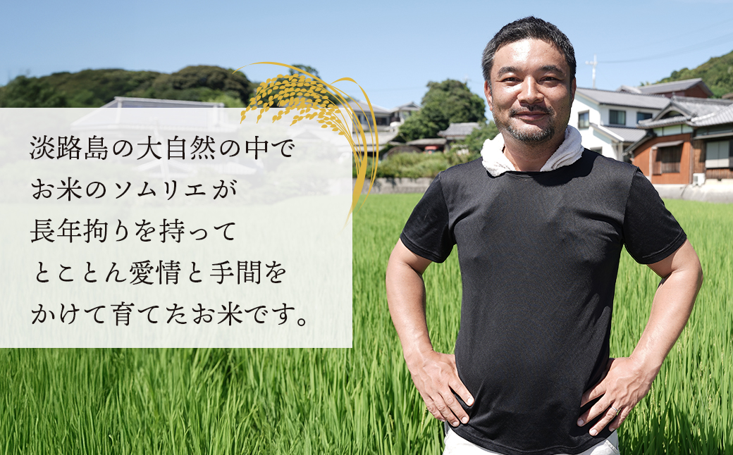 【定期便】野添農園のキヌヒカリ 5kgｘ6ヶ月「ひょうご安心ブランド」　[精米 白米]