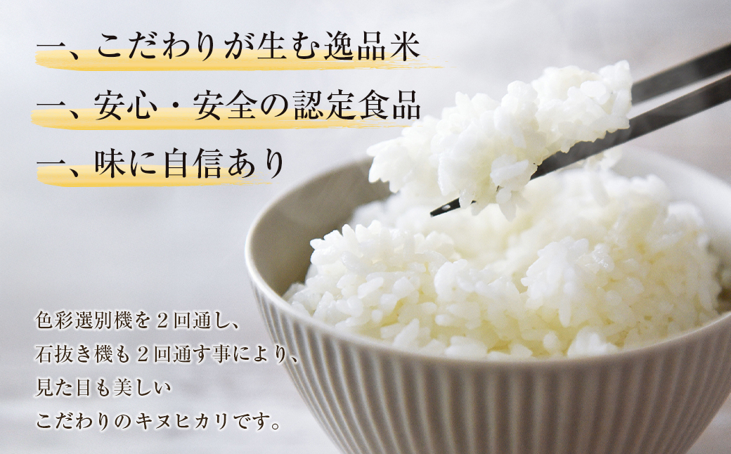【定期便】野添農園のキヌヒカリ 5kgｘ12ヶ月「ひょうご安心ブランド」　[精米 白米]