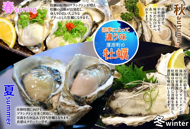 【 3ヵ月 定期便 】 北海道厚岸産 生食用 殻付カキ 3Lサイズ  12個　マルえもん 魚貝類 海の幸 海のミルク 海鮮 国産 北海道産 オイスター つまみ お酒 あて 肴 生牡蠣 メルマガ掲載商品1