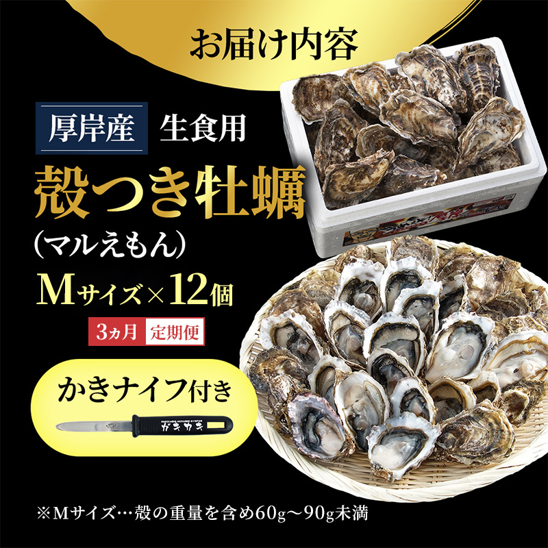 【 3ヵ月 定期便 】 北海道厚岸産 生食用 殻付カキ Mサイズ  12個　マルえもん 魚貝類 海の幸 海のミルク 海鮮 国産 北海道産 オイスター つまみ お酒 あて 肴 生牡蠣 メルマガ掲載商品1