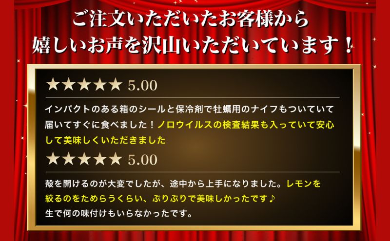 北海道厚岸産 生食用 殻付カキ 3Lサイズ  12個　マルえもん 魚貝類 海の幸 海のミルク 海鮮 国産 北海道産 オイスター つまみ お酒 あて 肴 生牡蠣 メルマガ掲載商品1