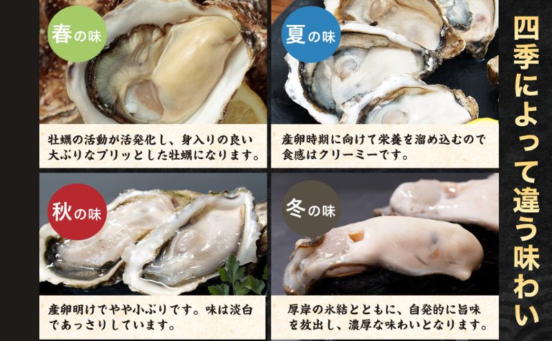 北海道厚岸産 生食用 殻付カキ 3Lサイズ  12個　マルえもん 魚貝類 海の幸 海のミルク 海鮮 国産 北海道産 オイスター つまみ お酒 あて 肴 生牡蠣 メルマガ掲載商品1
