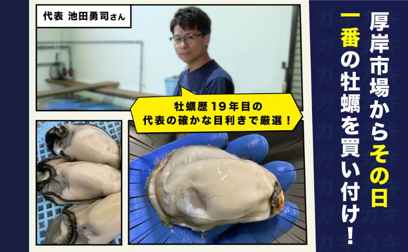 北海道厚岸産 生食用 殻付カキ LLサイズ  12個　マルえもん 魚貝類 海の幸 海のミルク 海鮮 国産 北海道産 オイスター つまみ お酒 あて 肴 生牡蠣 メルマガ掲載商品1