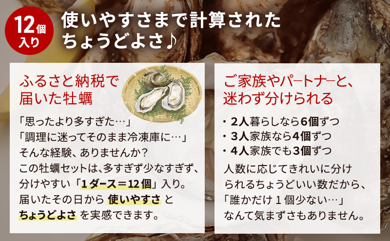北海道厚岸産 生食用 殻付カキ LLサイズ  12個　マルえもん 魚貝類 海の幸 海のミルク 海鮮 国産 北海道産 オイスター つまみ お酒 あて 肴 生牡蠣 メルマガ掲載商品1