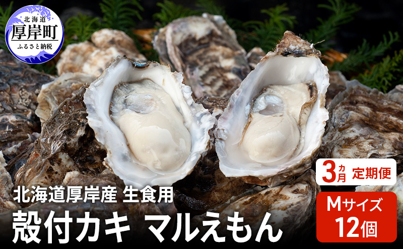 【北海道厚岸町】【 3ヵ月 定期便 】 北海道厚岸産 生食用 殻付カキ Mサイズ  12個 マルえもん 魚貝類 海の幸 海のミルク 海鮮 国産 北海道産 オイスター つまみ お酒 あて 肴 生牡蠣 メルマガ掲載商品1