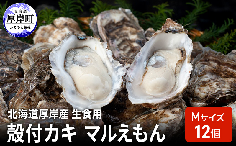 【北海道厚岸町】北海道厚岸産 生食用 殻付カキ Mサイズ  12個 マルえもん 魚貝類 海の幸 海のミルク 海鮮 国産 北海道産 オイスター つまみ お酒 あて 肴 生牡蠣 メルマガ掲載商品1