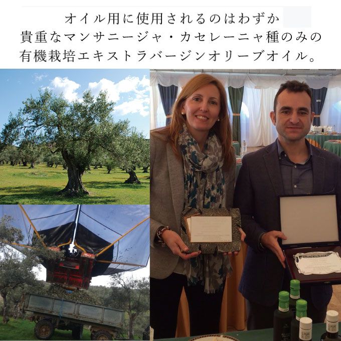定期便4回コース【高島屋選定品】日本オリーブ 有機栽培 エキストラバージン オリーブオイル シングル 450g×2本