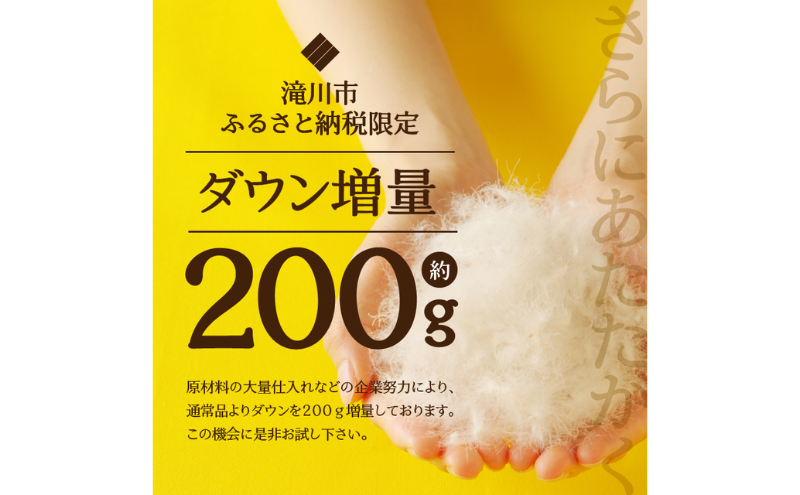 【ダブル】羽毛布団 枕 中サイズ セット 羽毛 布団 掛け布団 寝具 ダブル お取り寄せ 北海道 滝川市