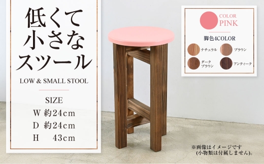 y錧JszႭďȃXc[ysNz  | 1r 24cm s24cm 43cm Xc[ ֎q CX | | `FA ۈ֎q ۂ ~` Ƌ CeA IV  ؐ 錧 Js