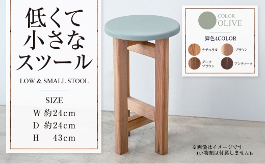 y錧JszႭďȃXc[yI[uz  | 1r 24cm s24cm 43cm Xc[ ֎q CX | | `FA ۈ֎q ۂ ~` Ƌ CeA IV  ؐ 錧 Js