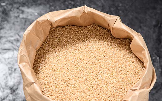 【新米】令和７年度米【コシヒカリ玄米10kg】横山ファーム 富山県 立山町 F6T-805