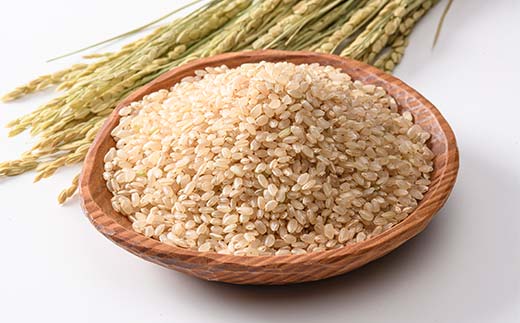 【新米】令和７年度米【コシヒカリ玄米10kg】横山ファーム 富山県 立山町 F6T-805