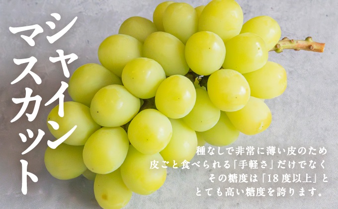 お肉とフルーツ 定期便 5回 コース 2026年 先行予約 桃 もも モモ ぶどう 葡萄 ブドウ シャインマスカット 果物 フルーツ なぎビーフ 肉 お肉 牛肉 牛 和牛 国産 岡山 赤磐市