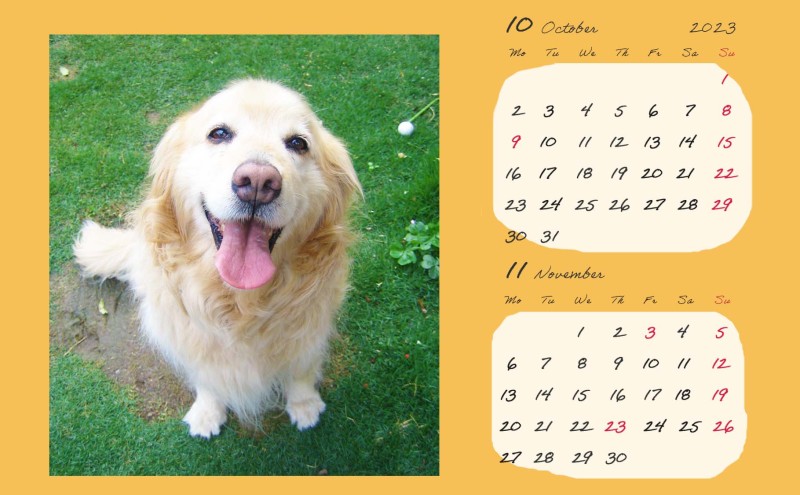 オリジナルカレンダーをデザイン・印刷します（オリジナルのデザイン・卓上カレンダー）