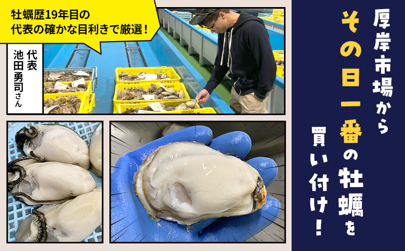 北海道 厚岸産 訳あり 牡蠣むいちゃいました  生食用 無水 むき牡蠣 300g スタンドパック カキ むき身 牡蠣 マルえもん