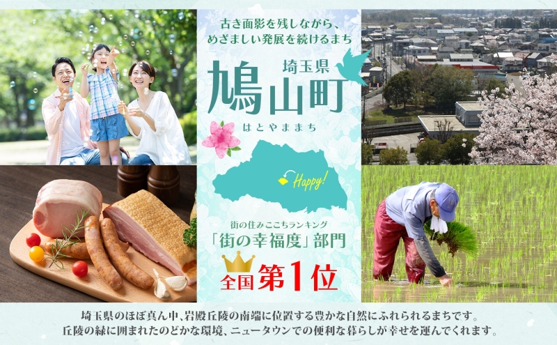 熨斗付き ロースハムと焼豚のセット ギフト 贈り物 こだわり 豚肉 ゴールデンポーク 加工品 簡単調理 おつまみ おかず お弁当 朝食 定番 サイボク 埼玉県 鳩山町