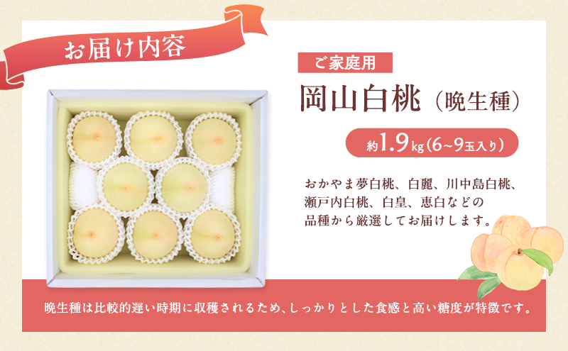 桃 2026年 先行予約 岡山 白桃（晩生種）ご家庭用 約2kg 6～9玉入り もも モモ 岡山県産 国産 フルーツ 果物 直送！せとうちバスケット こだわり 特産品 白い 香り 果汁 シーズン 高糖度 