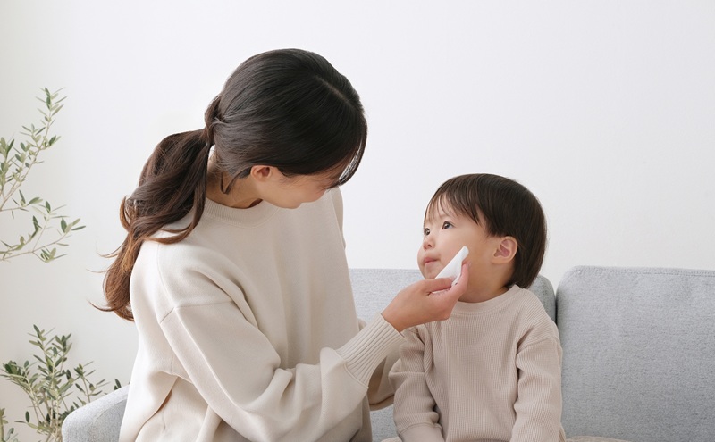 【60枚入り×24個】純水ウェットティッシュ 60枚入 WTS-60P3P ウェットティッシュ ティシュ アイリスオーヤマ ノンアルコール 手指 口まわり 手拭き シート 純水 お出かけ 防災