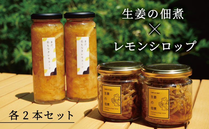 レモンシロップと佃煮セット（各2個）                                                