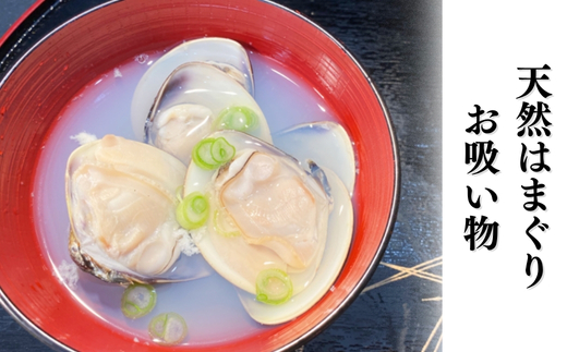 岬だより 希少 天然はまぐり 小サイズ 500g×2袋