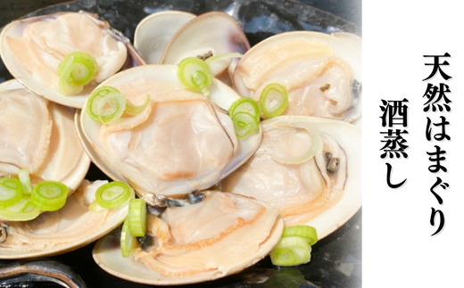 岬だより 希少 天然はまぐり 小サイズ 500g×2袋